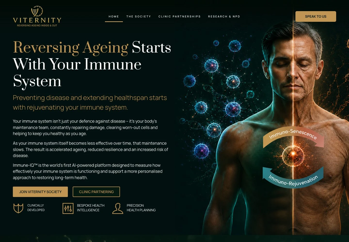 Viternity website screenshot